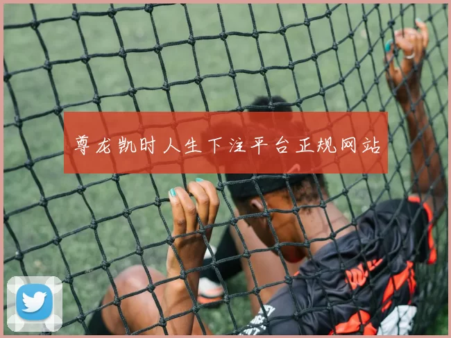 尊龙凯时人生下注平台正规网站