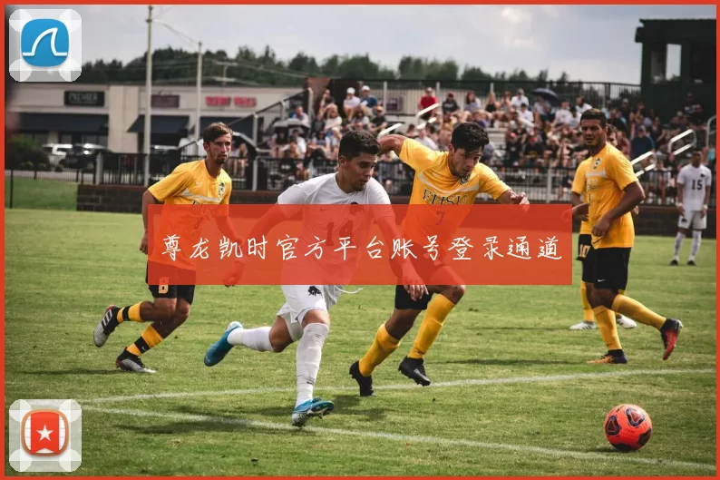 尊龙凯时官方平台账号登录通道