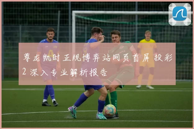 尊龙凯时正规博弈站网页首屏 投彩2 深入专业解析报告