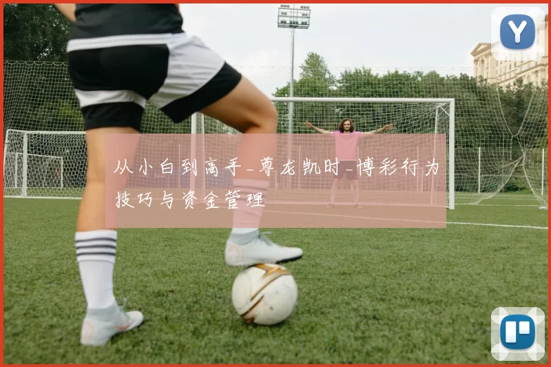 从小白到高手_尊龙凯时_博彩行为技巧与资金管理