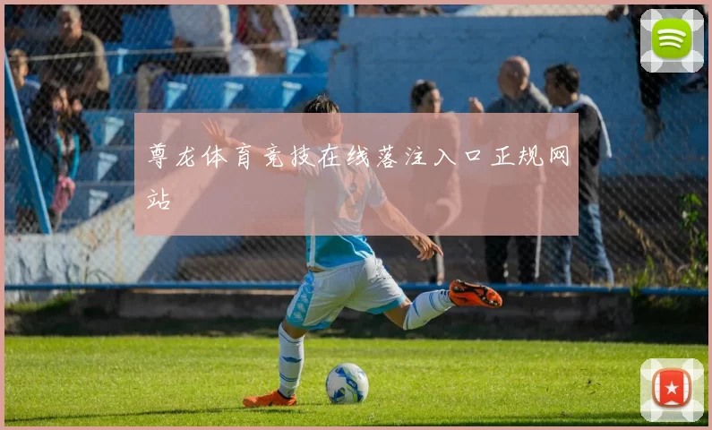 尊龙体育竞技在线落注入口正规网站