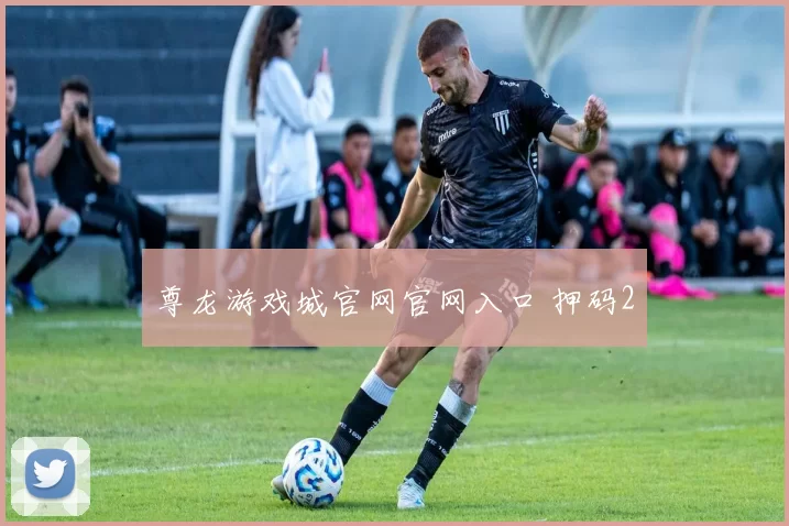 尊龙游戏城官网官网入口 押码2