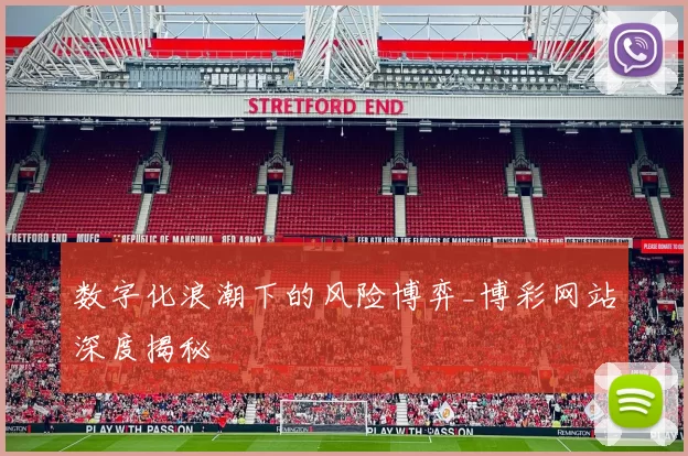 数字化浪潮下的风险博弈_博彩网站深度揭秘