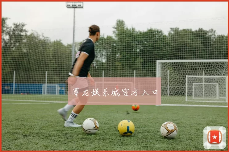 尊龙娱乐城官方入口