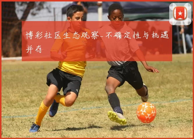 博彩社区生态观察_不确定性与机遇并存