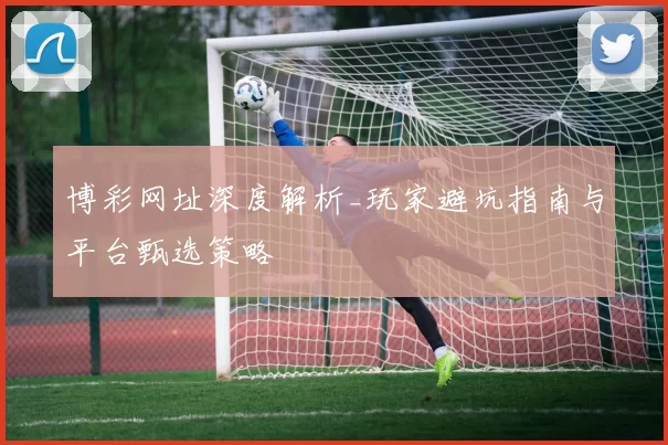 博彩网址深度解析_玩家避坑指南与平台甄选策略