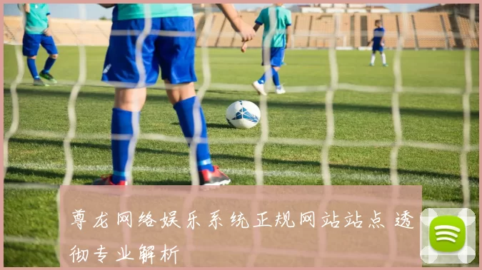 尊龙网络娱乐系统正规网站站点 透彻专业解析