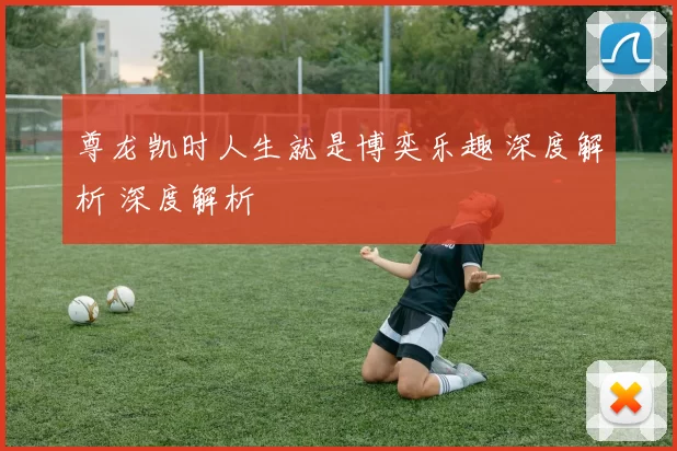 尊龙凯时人生就是博奕乐趣 深度解析 深度解析