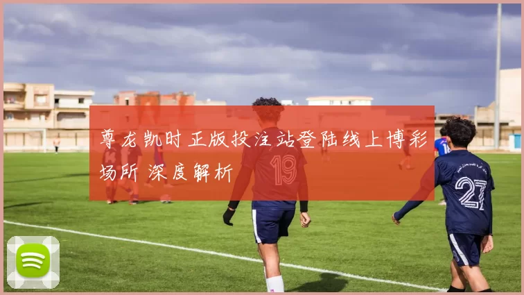 尊龙凯时正版投注站登陆线上博彩场所 深度解析