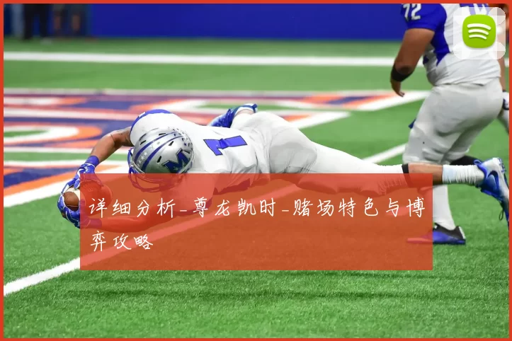 详细分析_尊龙凯时_赌场特色与博弈攻略