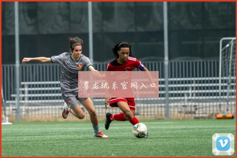 尊龙玩乐官网入口