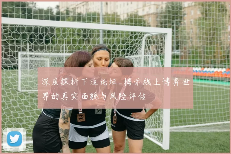 深度探析下注论坛_揭示线上博弈世界的真实面貌与风险评估