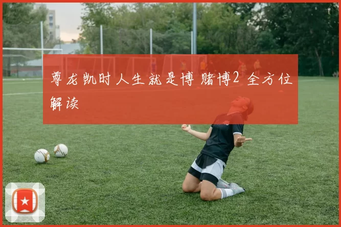 尊龙凯时人生就是博 赌博2 全方位解读