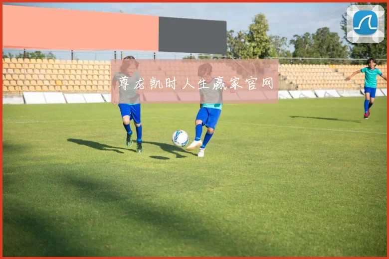 尊龙凯时人生赢家官网