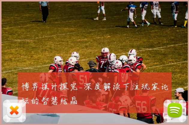 博弈谋计探究_深度解读下注玩家论坛的智慧结晶