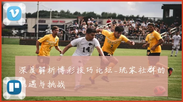 深度解析博彩技巧论坛_玩家社群的机遇与挑战