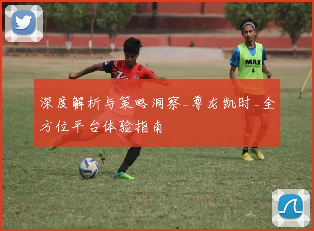 深度解析与策略洞察_尊龙凯时_全方位平台体验指南