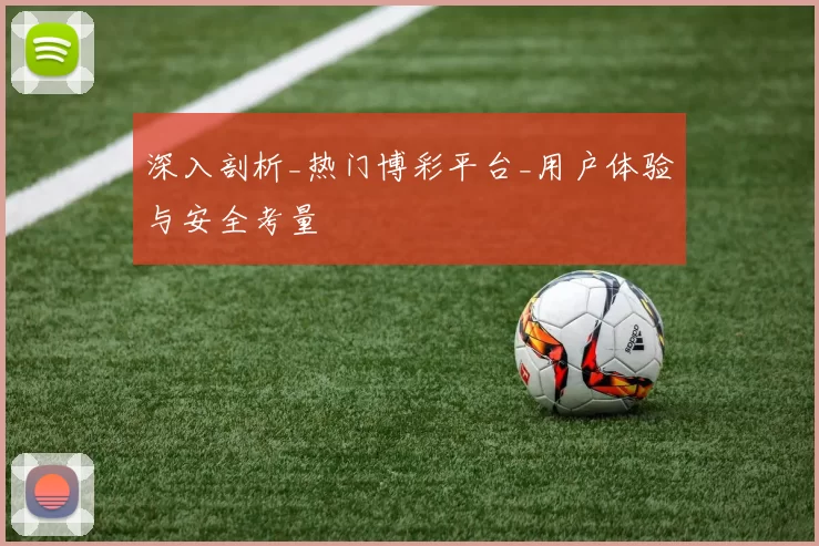 深入剖析_热门博彩平台_用户体验与安全考量