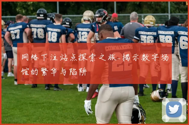 网络下注站点探索之旅_揭示数字场馆的繁华与陷阱