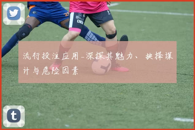 流行投注应用_深探其魅力、抉择谋计与危险因素