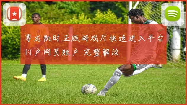 尊龙凯时正版游戏厅快速进入平台门户网页账户 完整解读