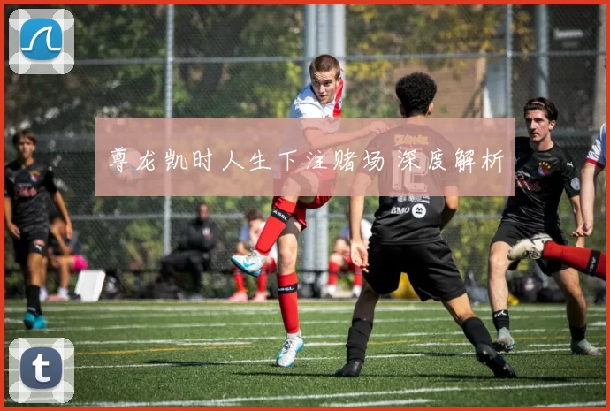 尊龙凯时人生下注赌场 深度解析