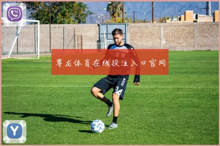 尊龙体育在线投注入口官网