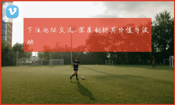 下注论坛交流_深度剖析其价值与波动